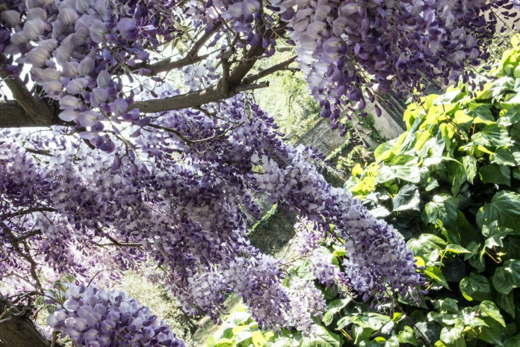 Nanna van Berlekom-Florens10