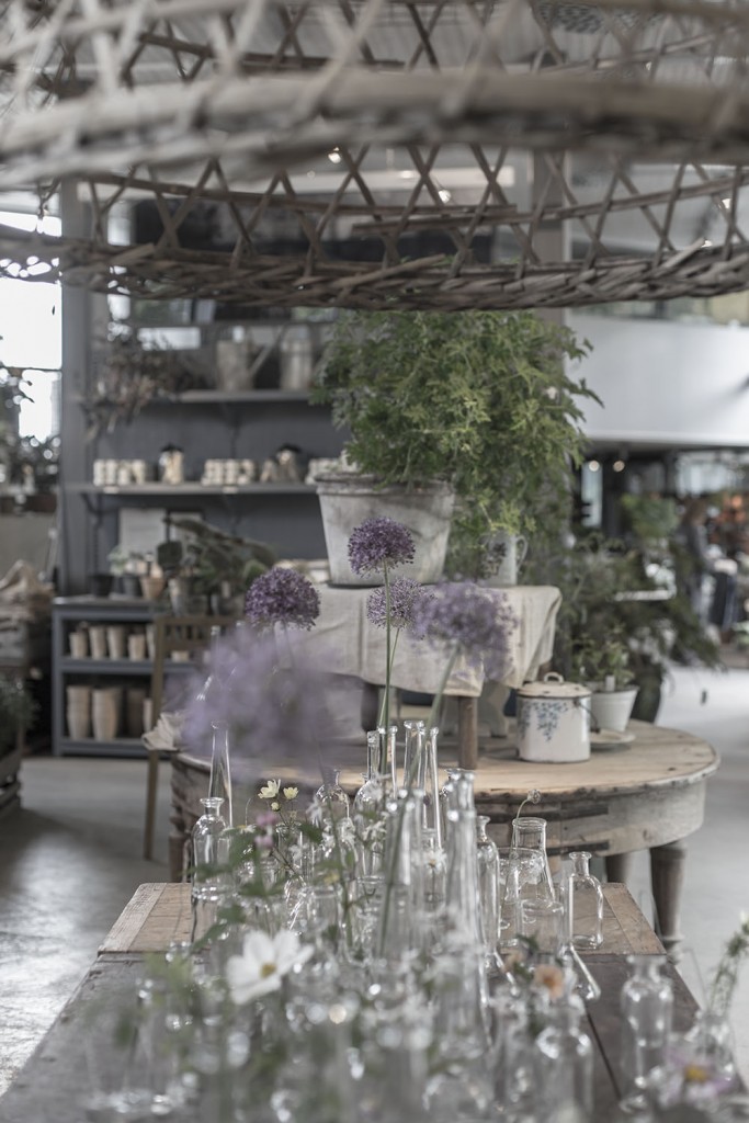 strenghielm_honda_zetas.10