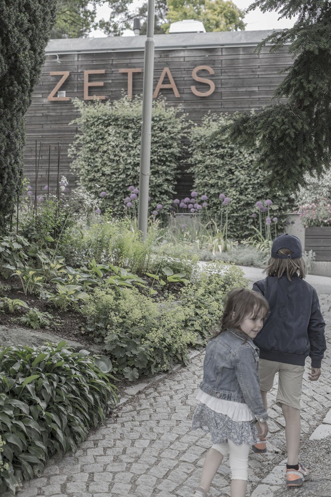 strenghielm_honda_zetas.2