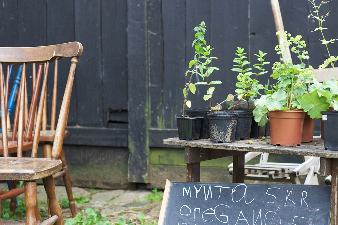 Lovely utflyktstips – djupaste Skåne! 6 mynta_langblondin_0707