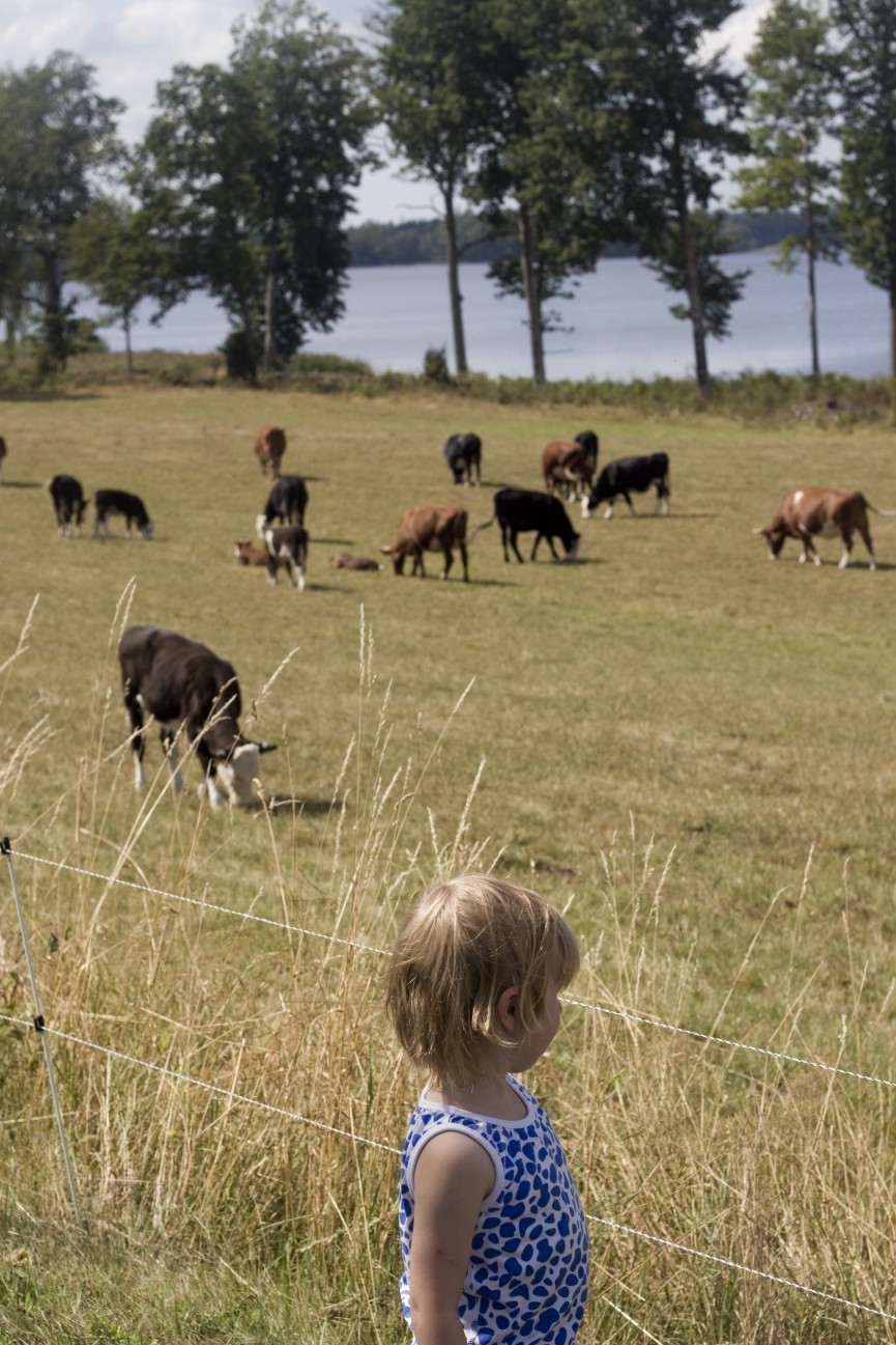 sommarminne3