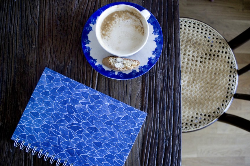 emma von bromssen notebook miljo