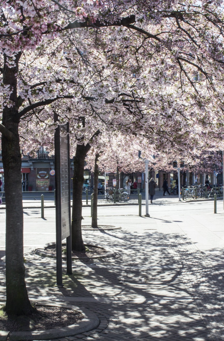 Nanna van Berlekom-onsdag3