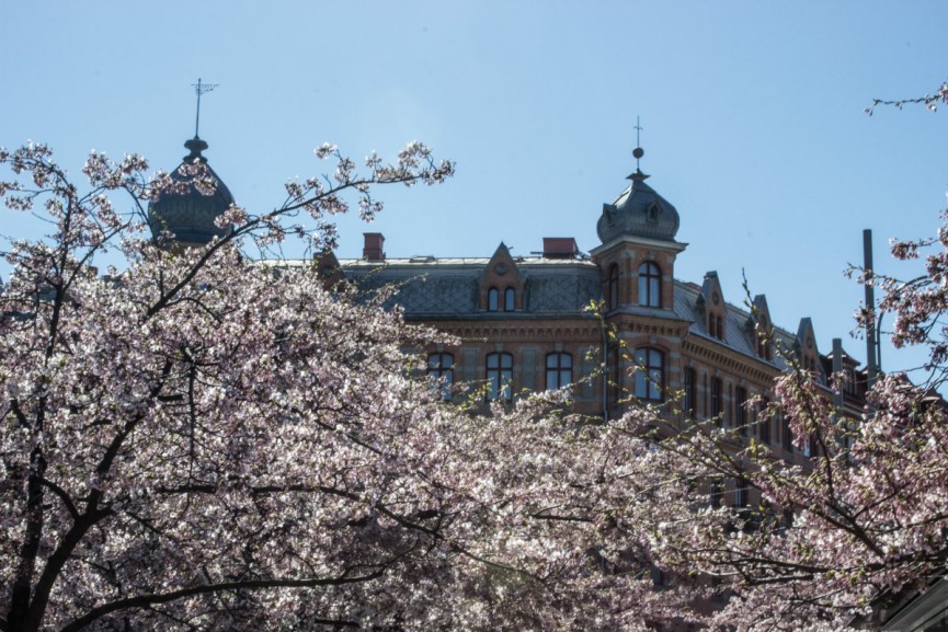 Nanna van Berlekom-onsdag4