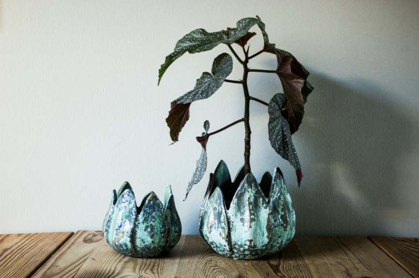 serax bladkruka 1200x797