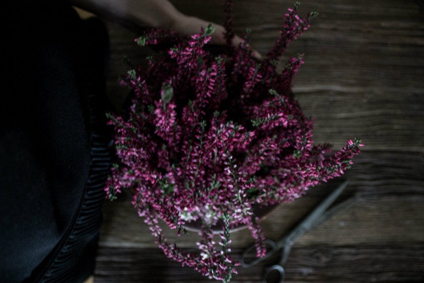 Nanna van Berlekom autumnmood_