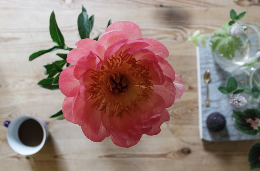 Nanna van Berlekom-blomster pion2