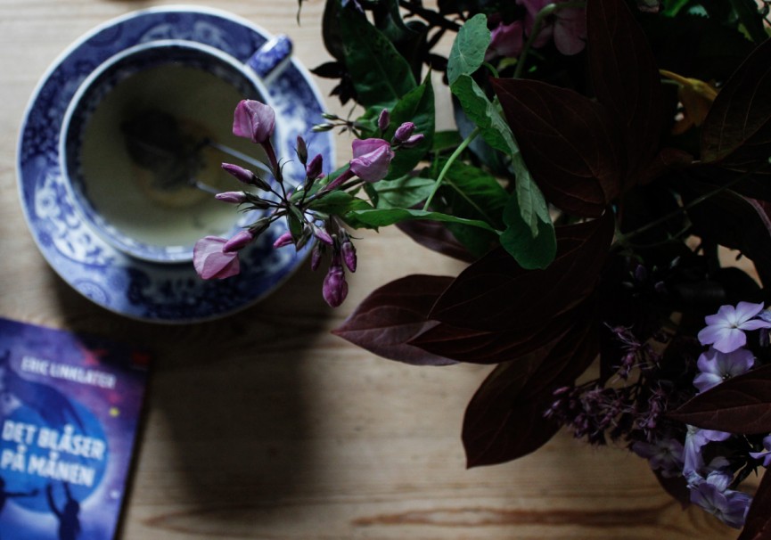 Nanna van Berlekom-spode