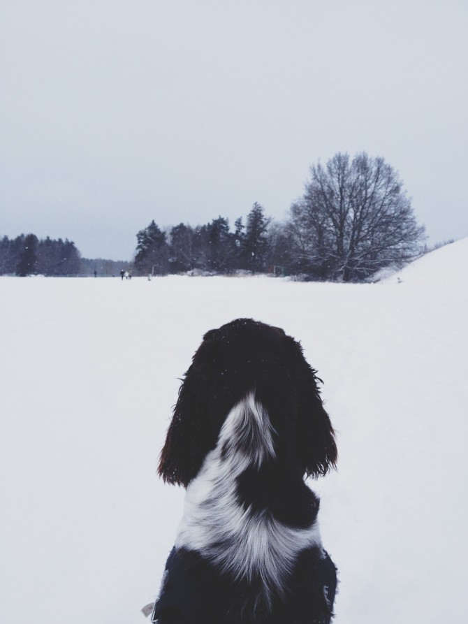 Winter by Babes in Boyland