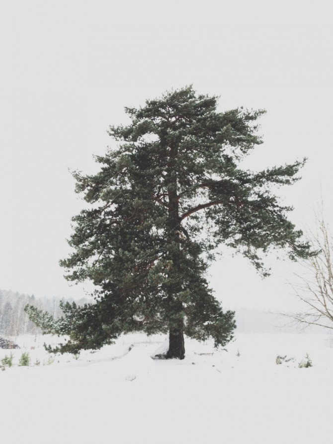 Winter by Babes in Boyland