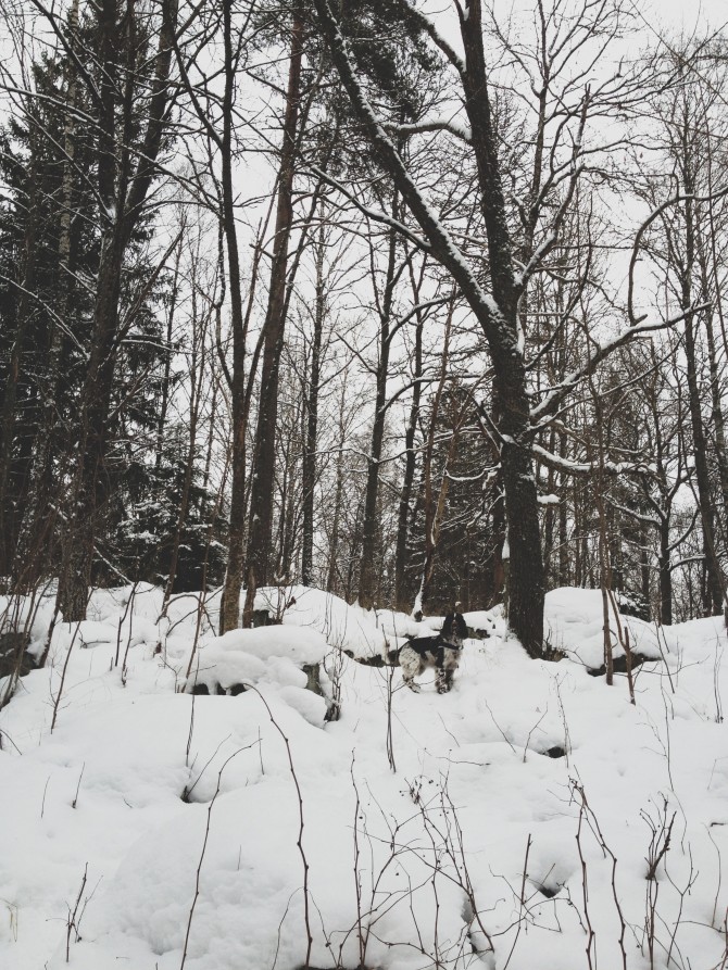Winter by Babes in Boyland