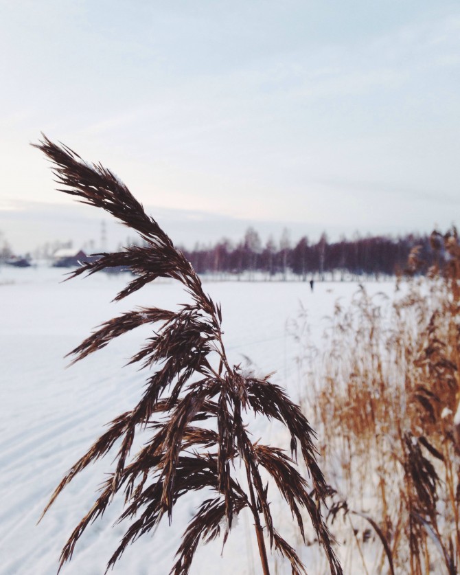 First snow by Babes in Boyland