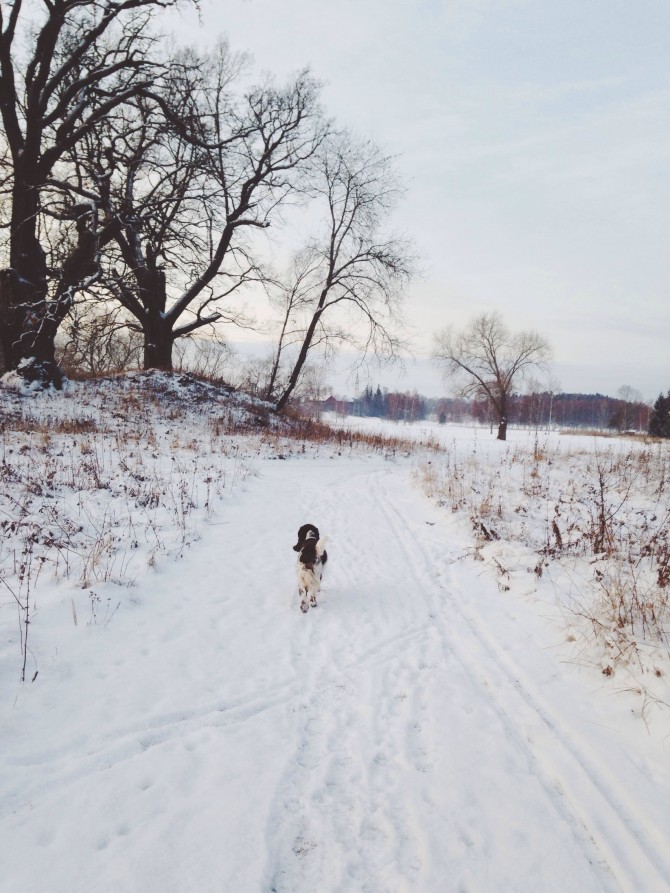 First snow by Babes in Boyland