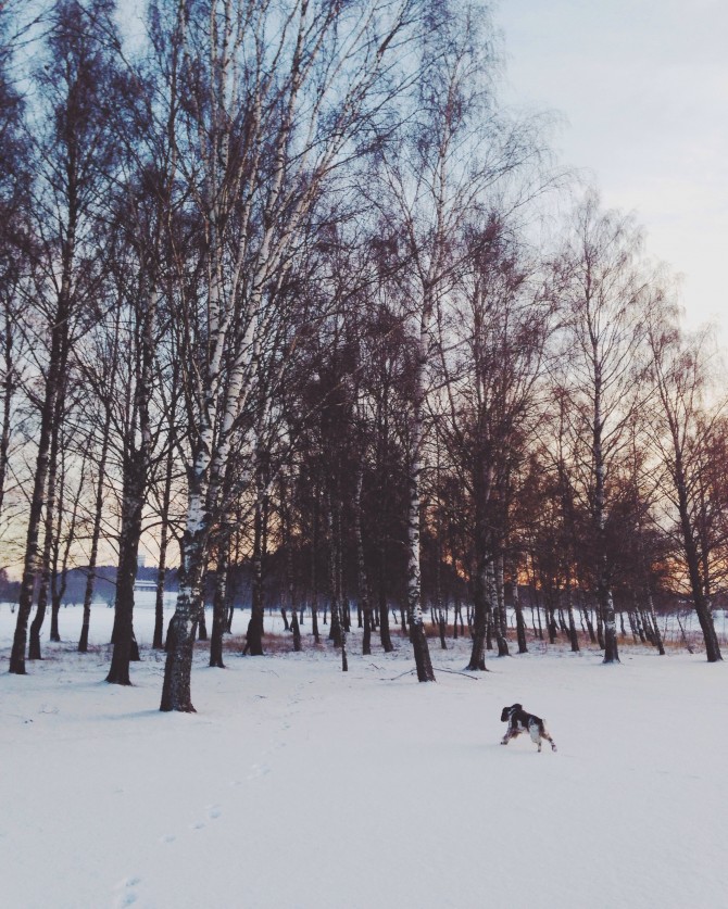 First snow by Babes in Boyland