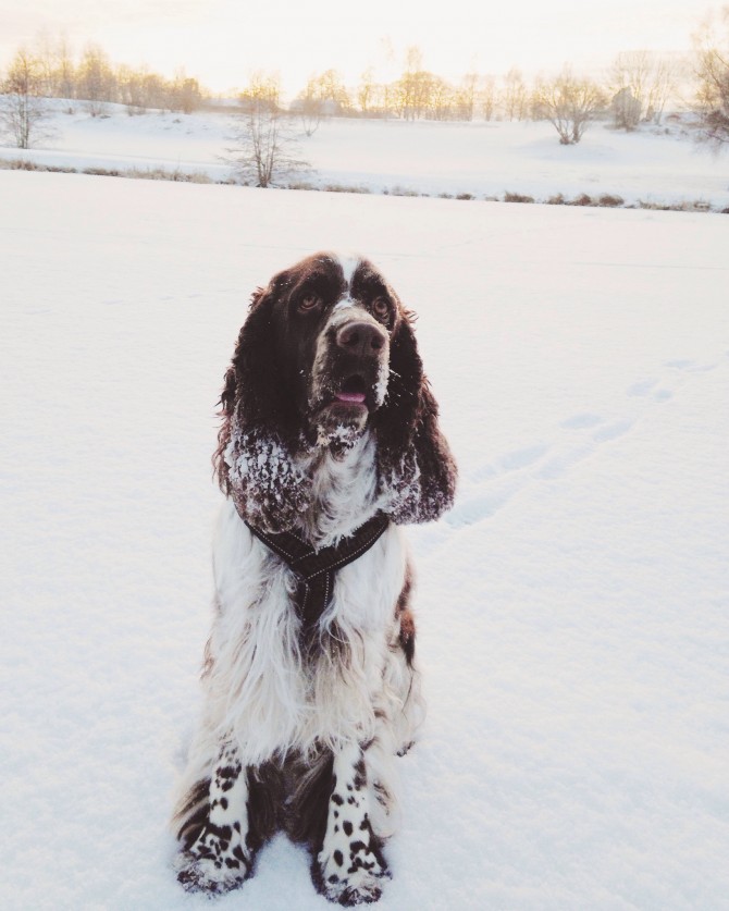 First snow by Babes in Boyland