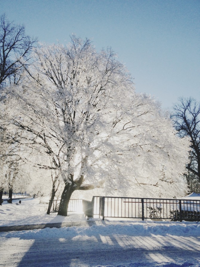 Winter by Babes in Boyland