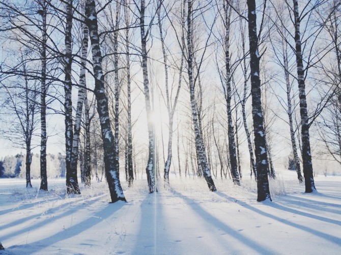 Winter by Babes in Boyland