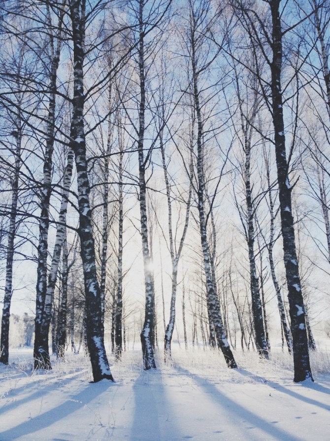 Winter by Babes in Boyland