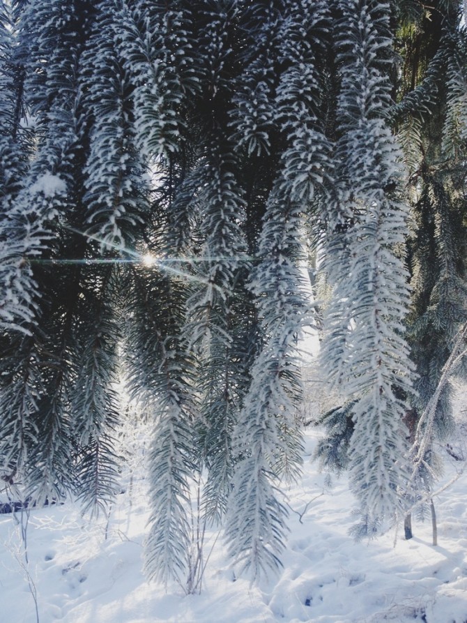 Winter by Babes in Boyland