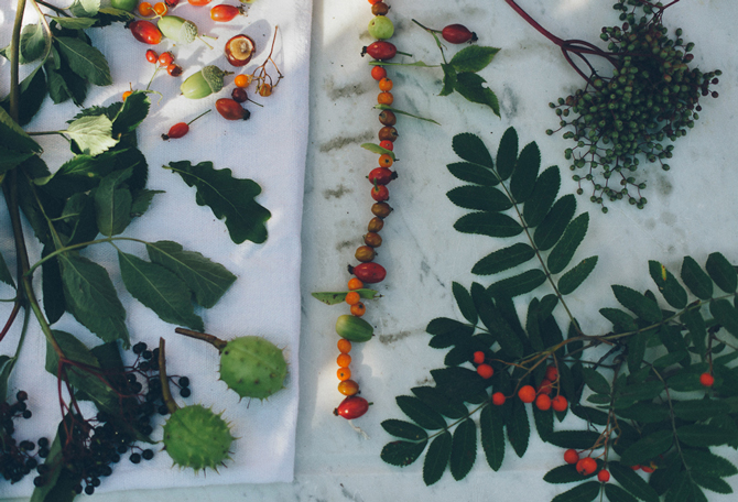 Autumn Garland by Babes in Boyland