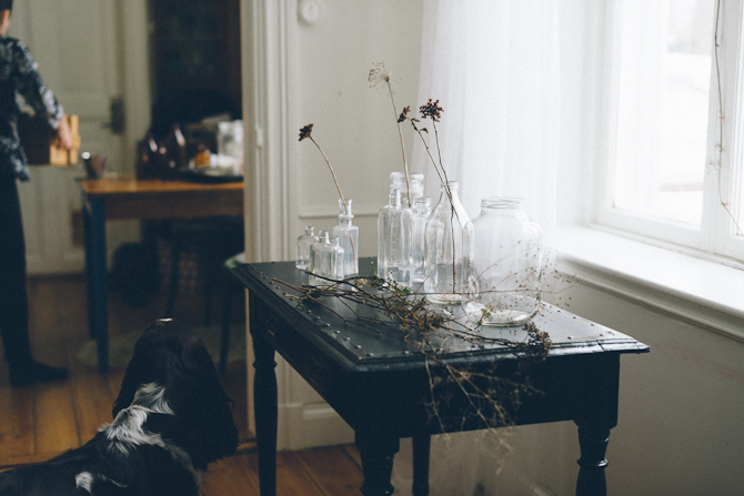 Nordic Light by Babes in Boyland
