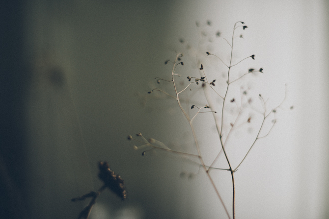 Nordic Light by Babes in Boyland