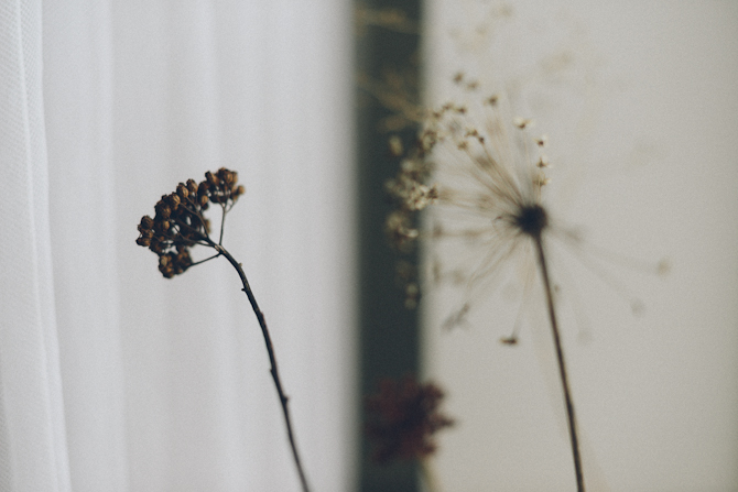 Nordic Light by Babes in Boyland