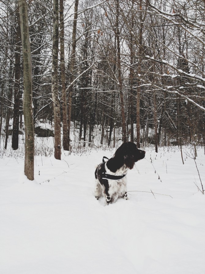 Winter by Babes in Boyland