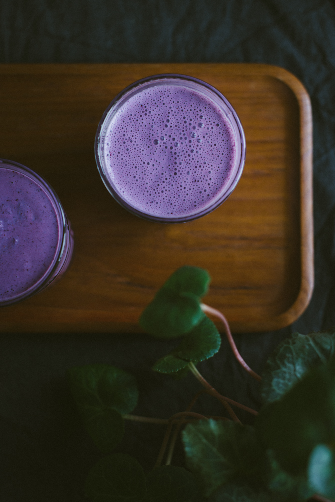 Blueberry Smoothie by Babes in Boyland