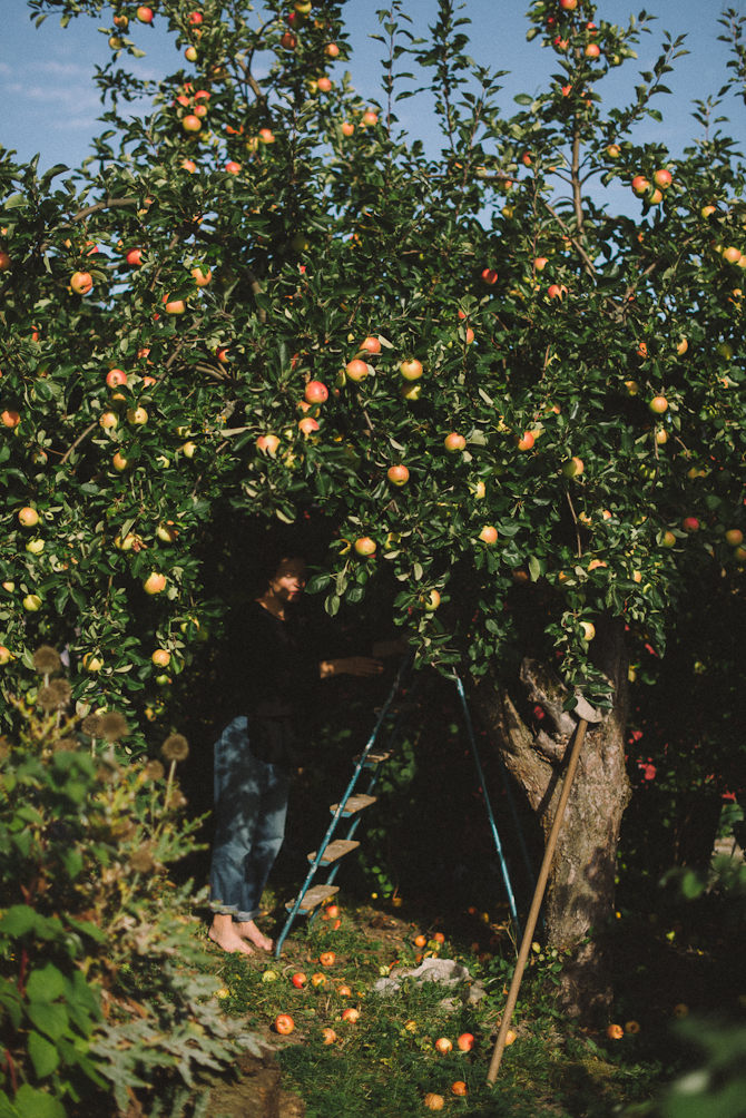 Apples by Babes in Boyland