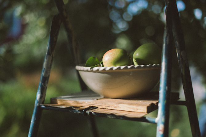 Apples by Babes in Boyland