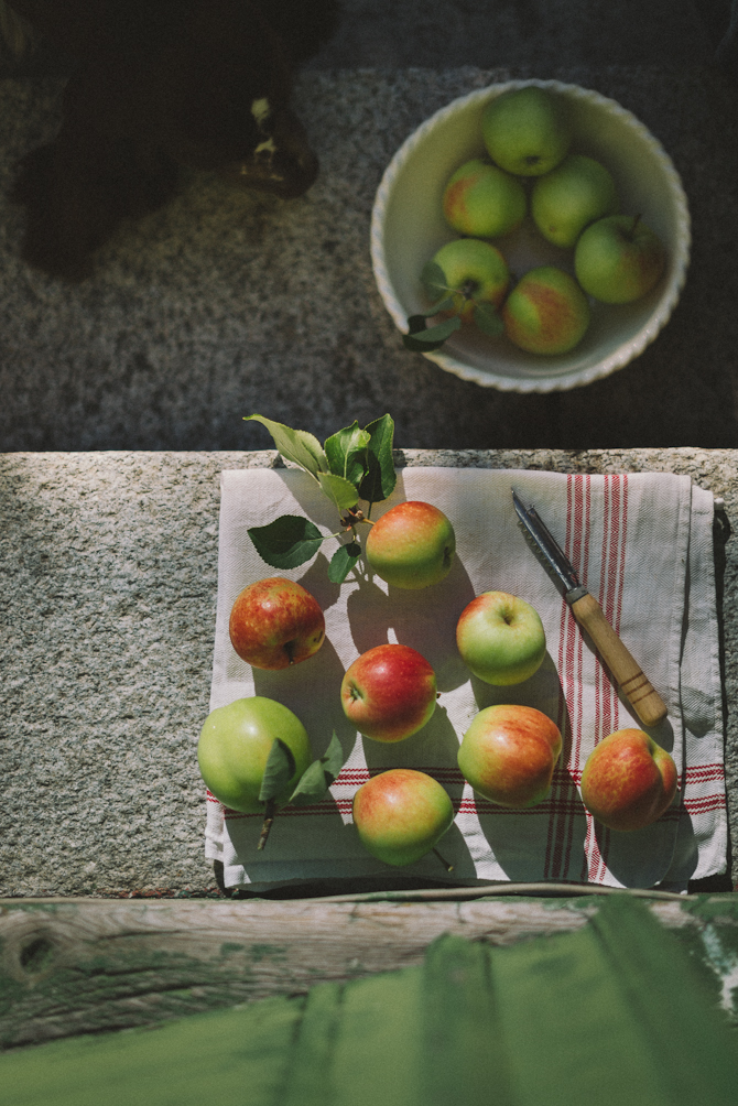 Apples by Babes in Boyland