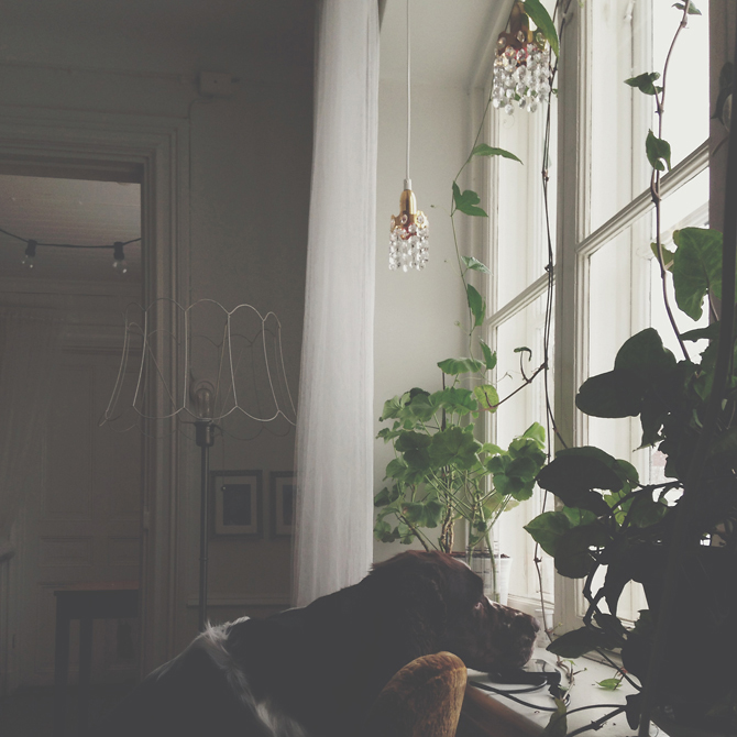 by Babes in Boyland