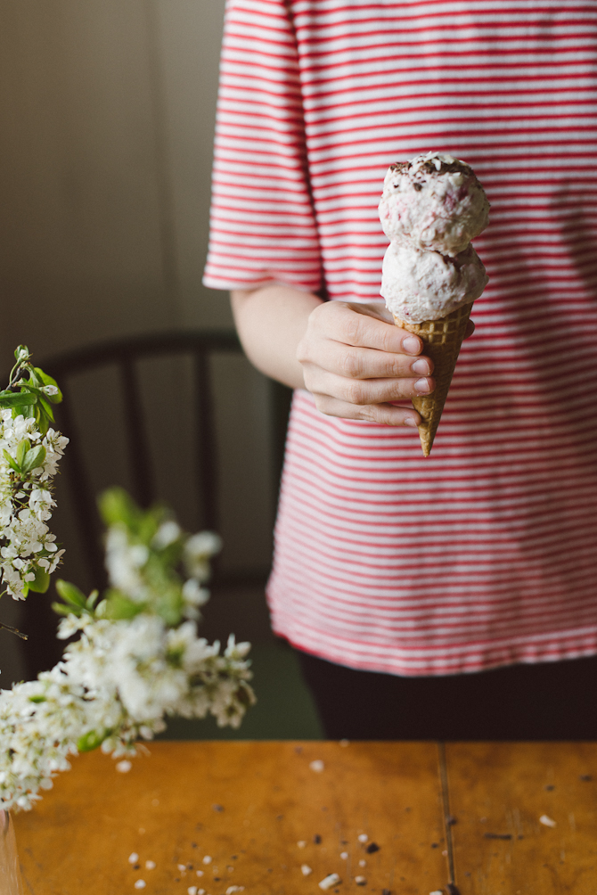 Homemade ice cream by Babes in Boyland