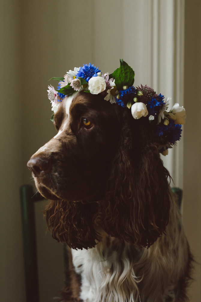 Swedish Midsummer by Babes in Boyland