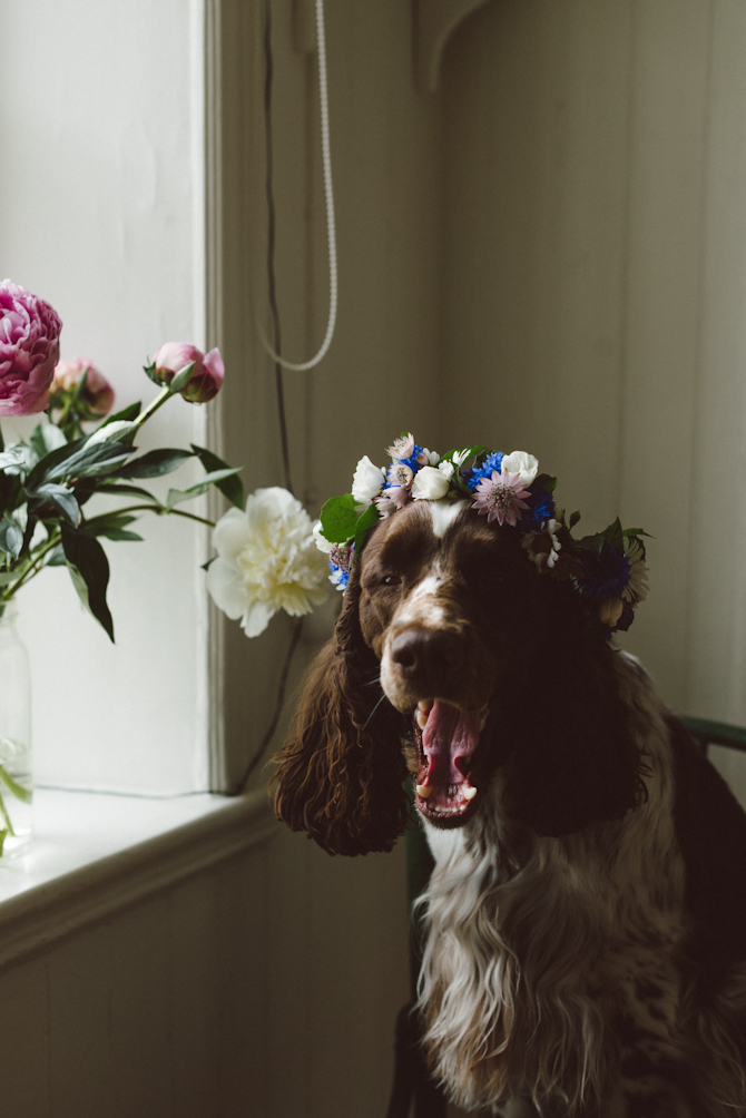 Swedish Midsummer by Babes in Boyland
