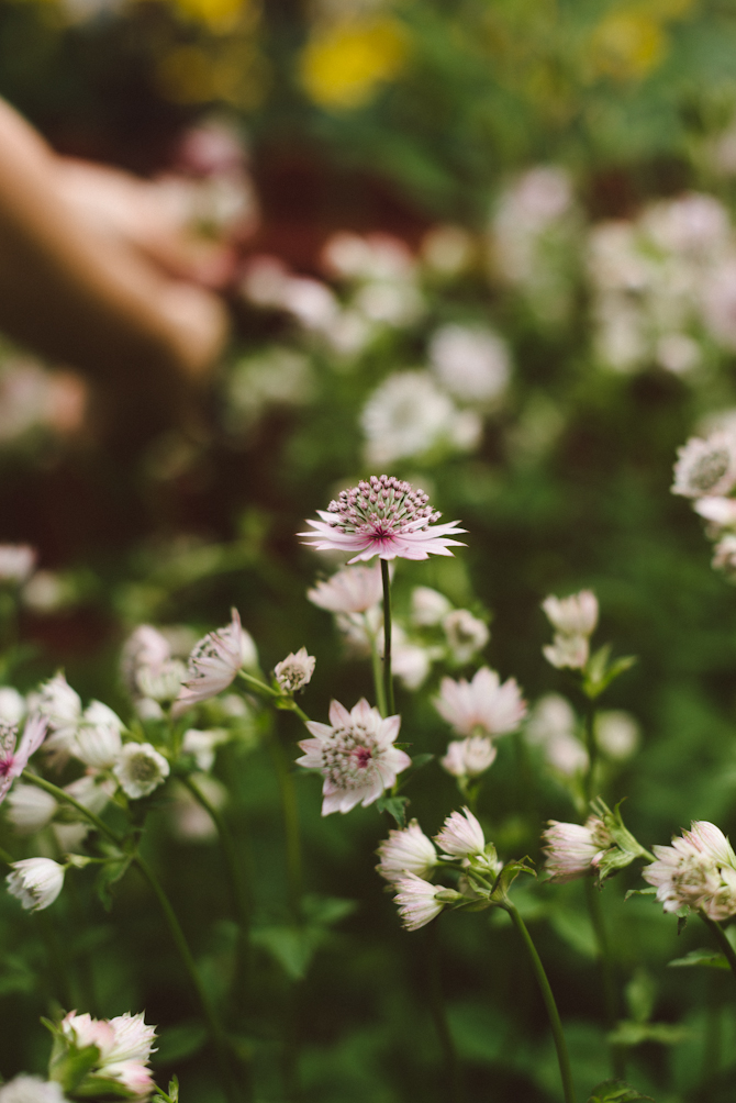 Swedish Midsummer by Babes in Boyland
