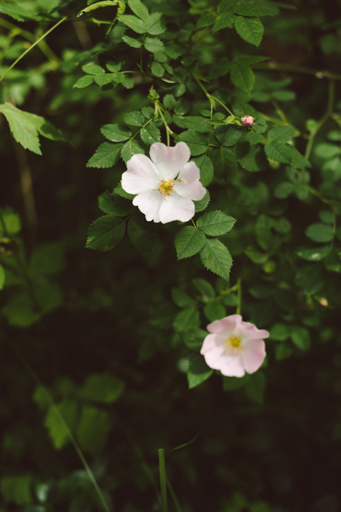 Swedish Midsummer by Babes in Boyland