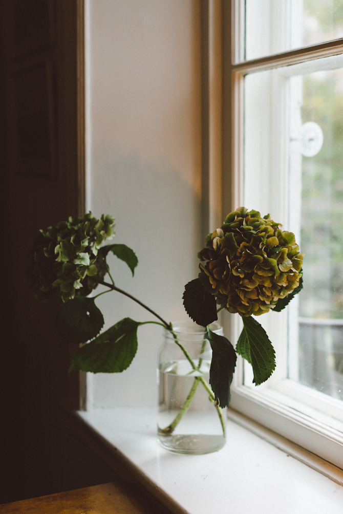 Frankie journal and calendar 3 Frankie diary and calendar by Babes in Boyland