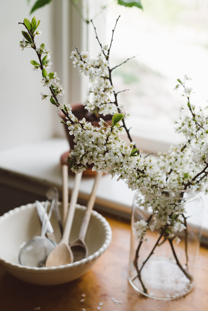 Spring by Babes in Boyland