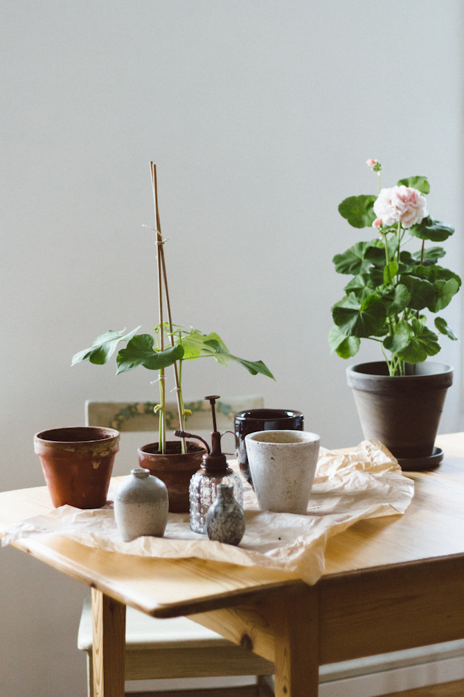 My weekend by Babes in Boyland