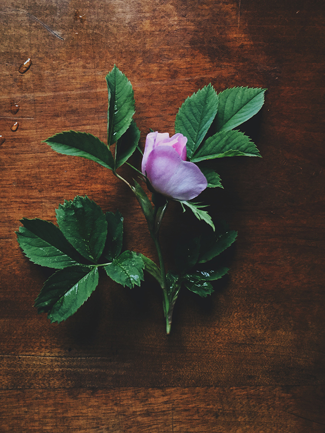 Flower wreath by Babes in Boyland