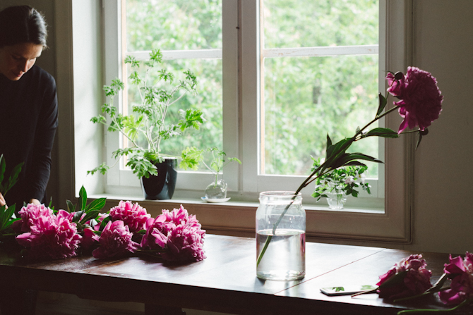 Peonies by Babes in Boyland