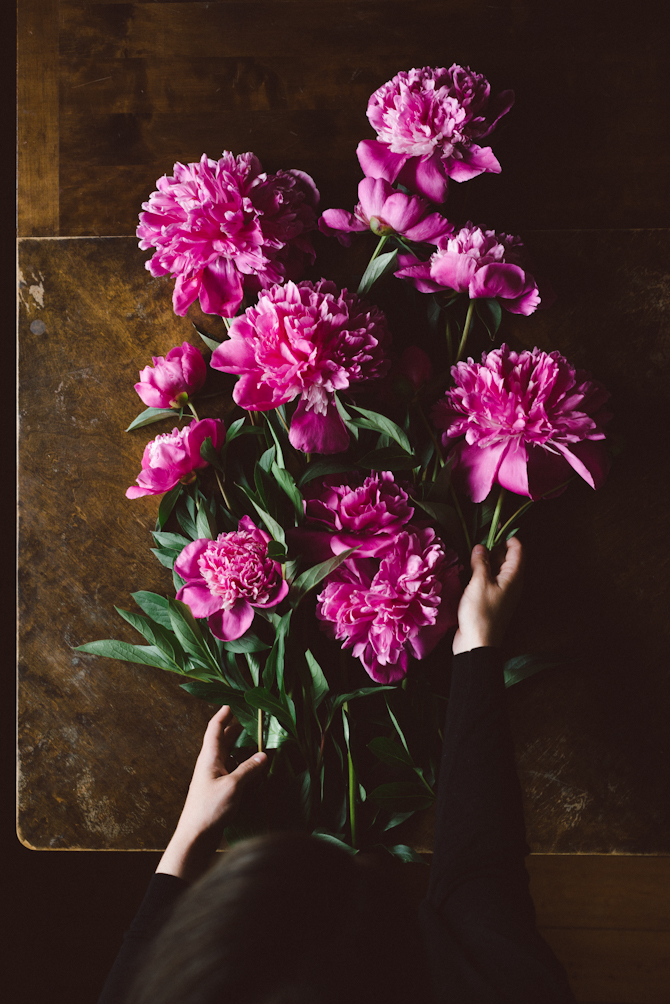 Prints and peonies 4 Peonies by Babes in Boyland