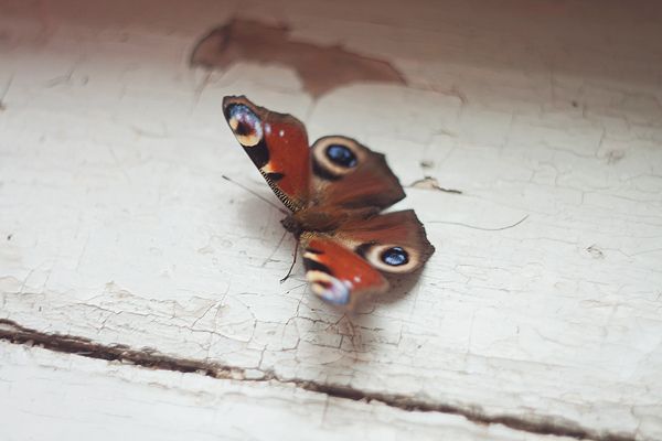 58dda098148c22a82f96f321e4988c02