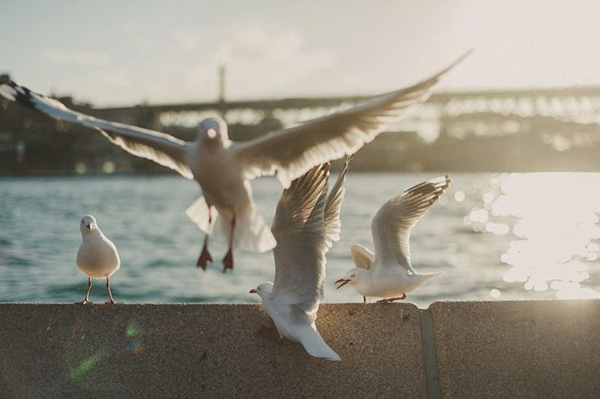 b7e8fddb7743db827727b40a2e57f1eb