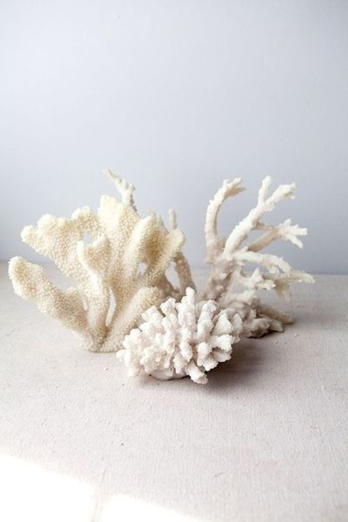 fda3cb5b214533e1d4b41b0d718bbf6a