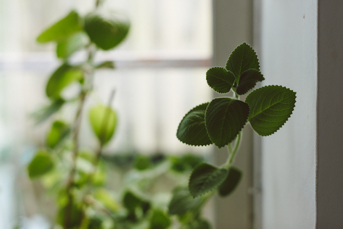 Banankaka och en ny kokbok 12 Banana cake by Babes in Boyland