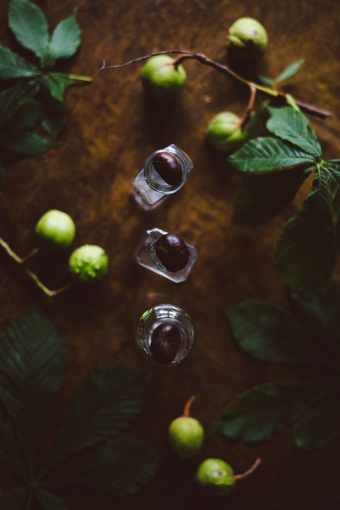 DIY chestnut plant by Babes in Boyland