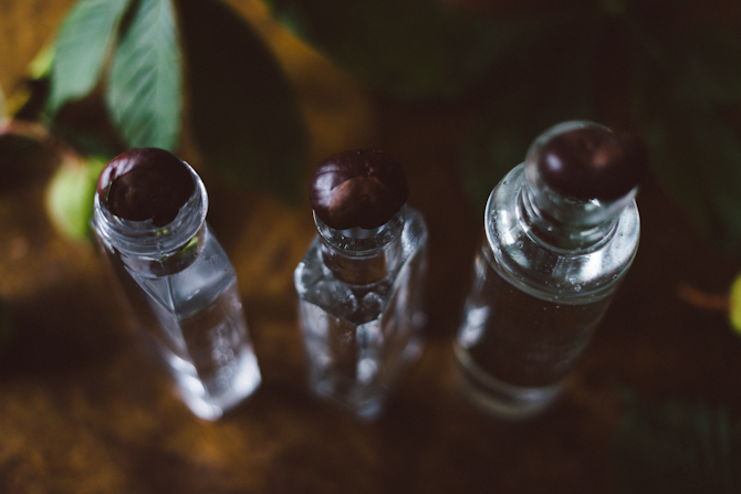 DIY chestnut plant by Babes in Boyland